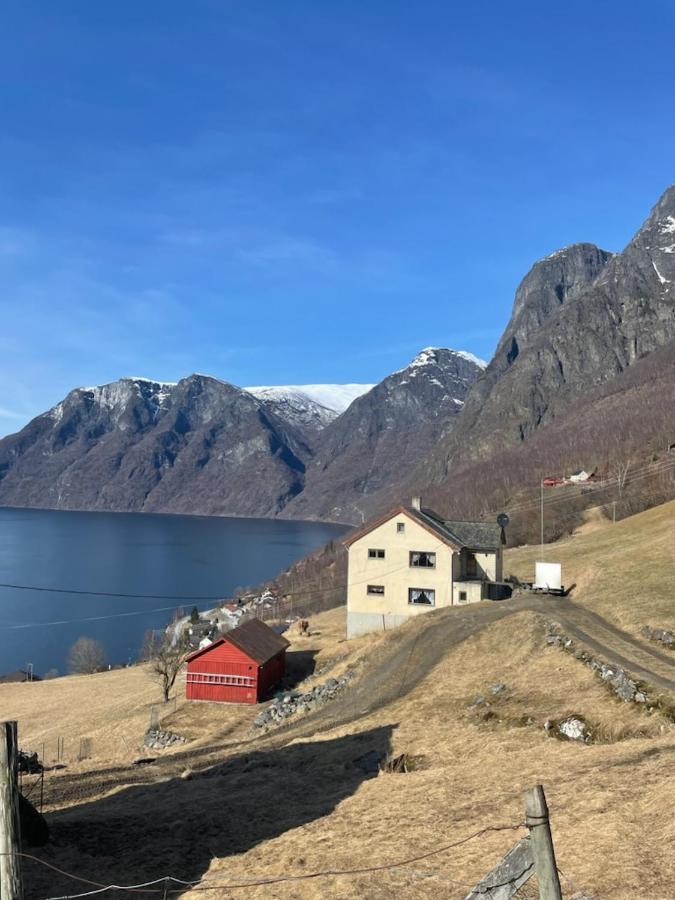 Aurland Stegastein Apartment Esterno foto