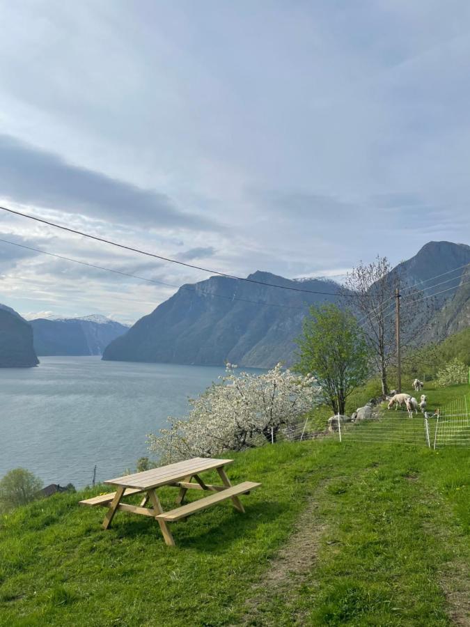 Aurland Stegastein Apartment Esterno foto