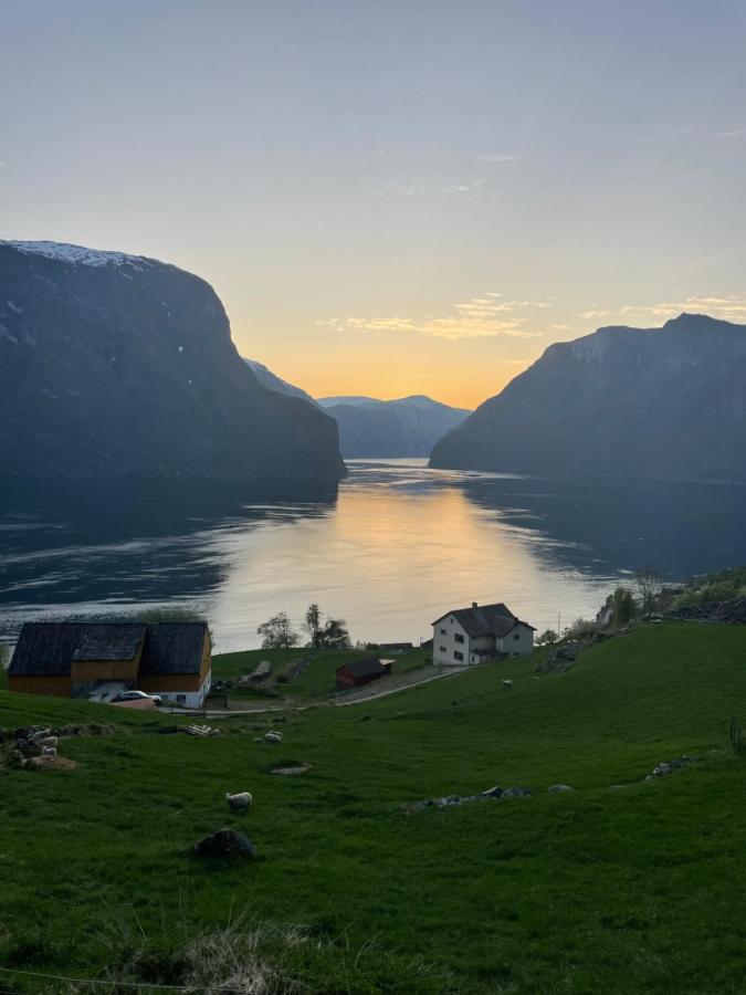 Aurland Stegastein Apartment Esterno foto